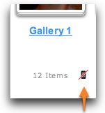 Flash-only gallery icon
